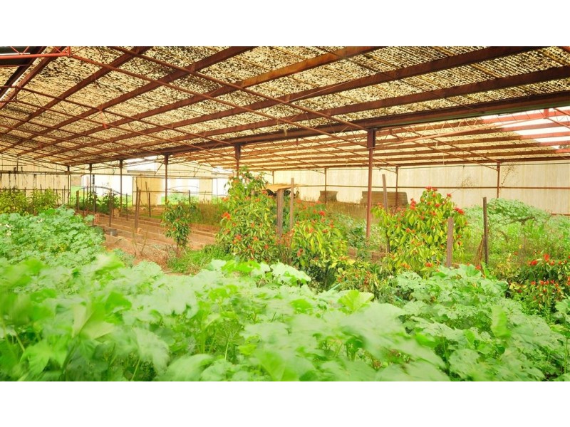 620 Honour Ave, Corowa NSW 2646