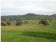 Lot 1 126 Boyes Road, Wodonga VIC 3690