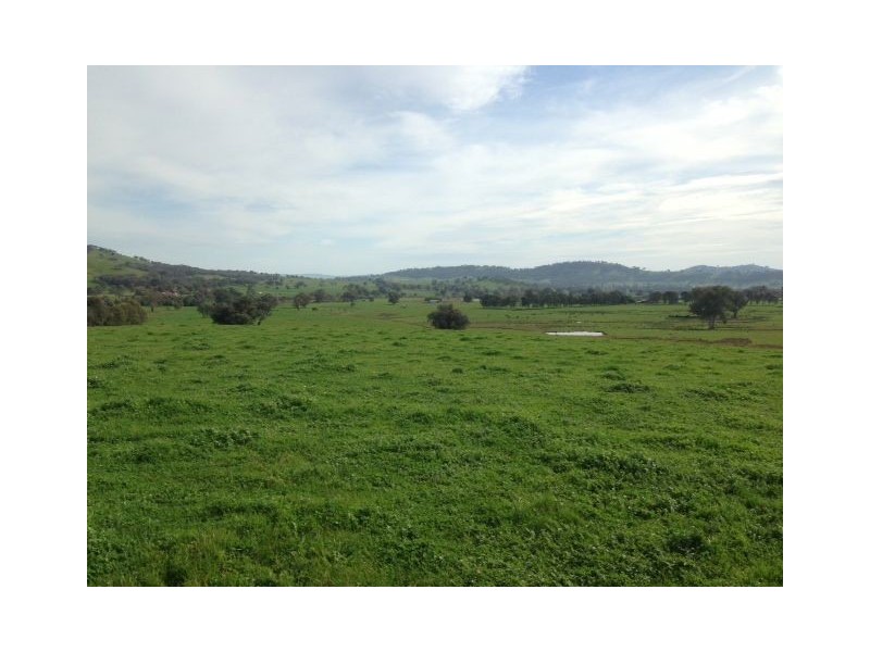 Lot 1 126 Boyes Road, Wodonga VIC 3690