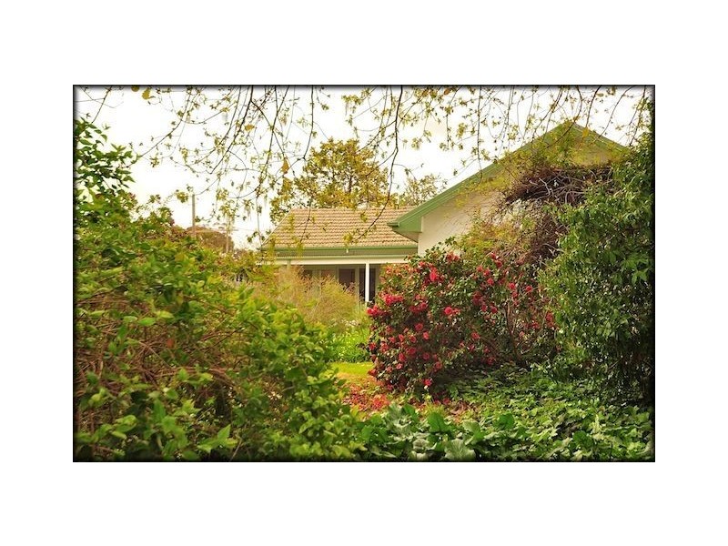 705 Alma Street, Albury NSW 2640