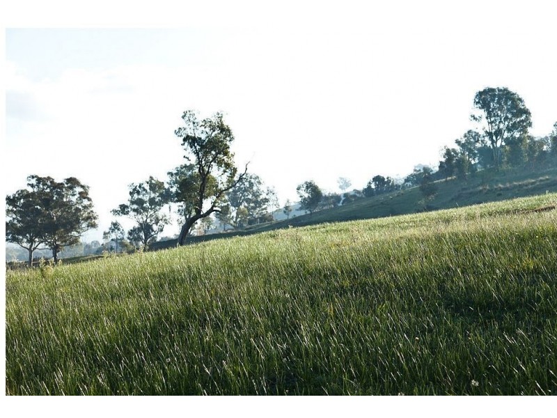 Lot 224 Clarendon Avenue, Wodonga VIC 3690