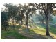 Lot 142 Avondale Drive, Wodonga VIC 3690