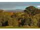 Lot 221 Clarendon Avenue, Wodonga VIC 3690