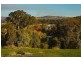 Lot 221 Clarendon Avenue, Wodonga VIC 3690