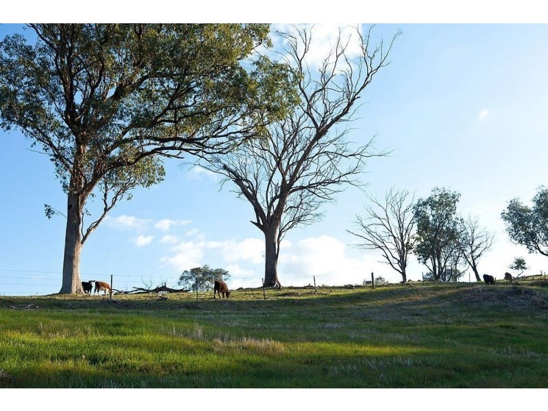 Lot 146 Avondale Drive, Wodonga VIC 3690