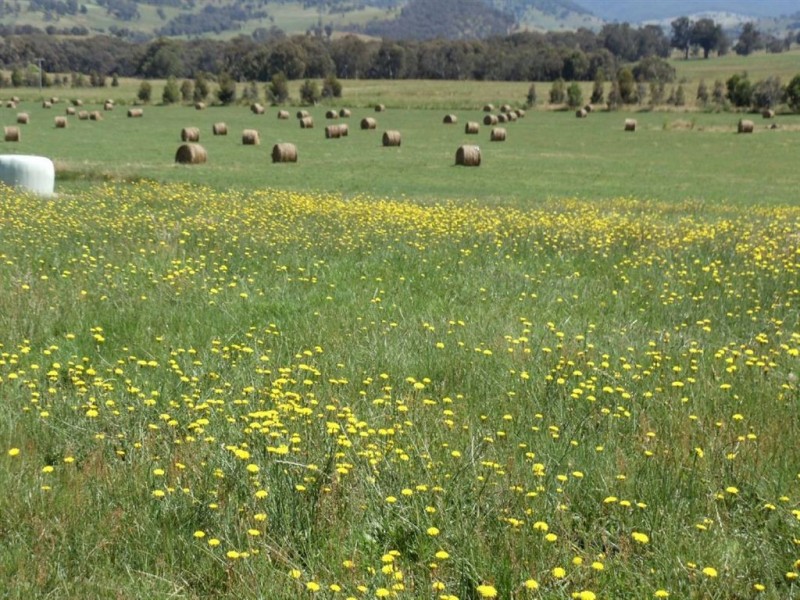 174 Rifle Range Road, Lucyvale VIC 3691