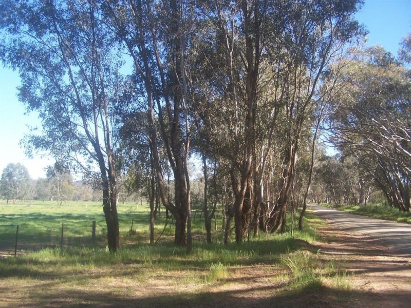 57 Bow  Street, Chiltern VIC 3683