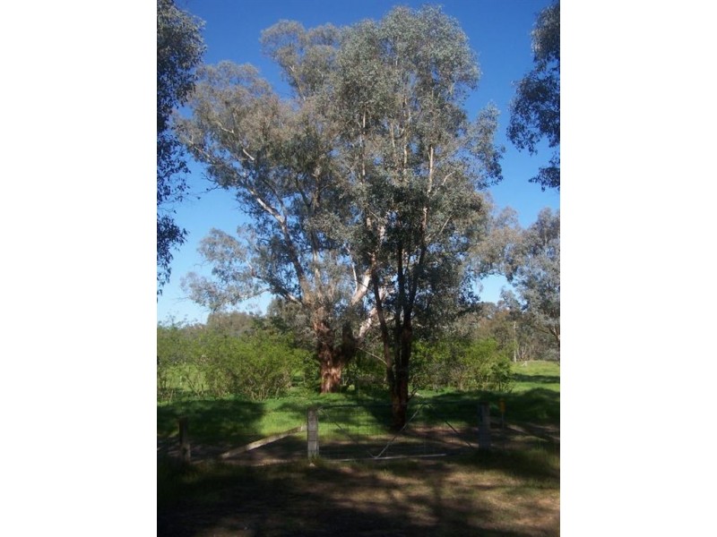 57 Bow  Street, Chiltern VIC 3683