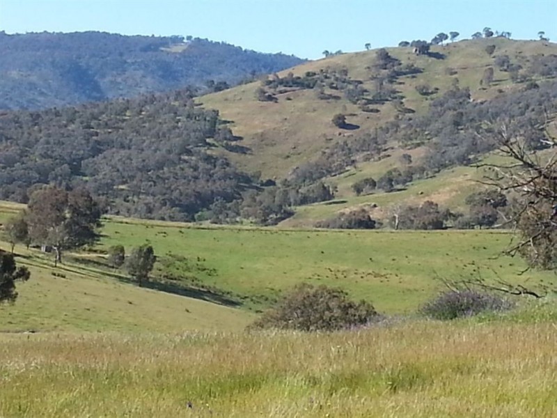 101 Drapers Road, Leneva VIC 3691