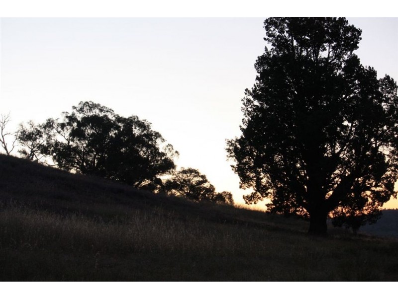 101 Drapers Road, Leneva VIC 3691