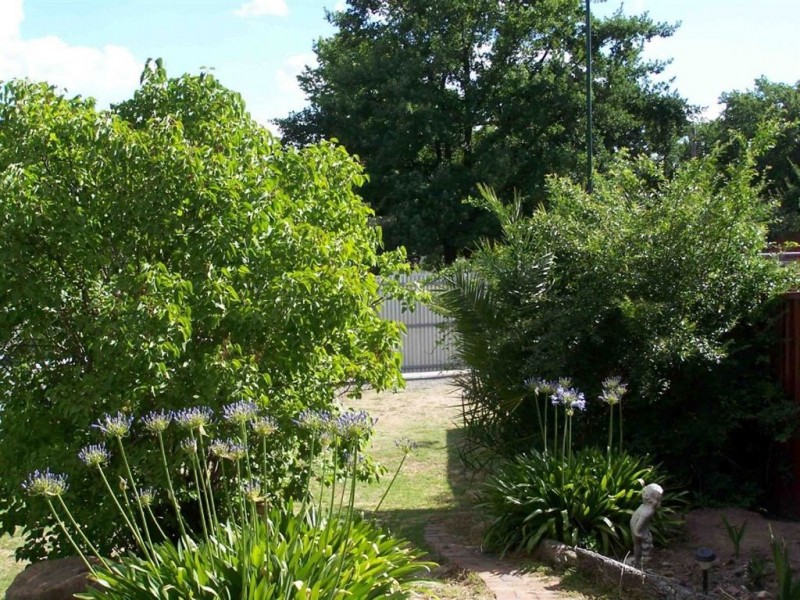 56 Conness Street, Chiltern VIC 3683