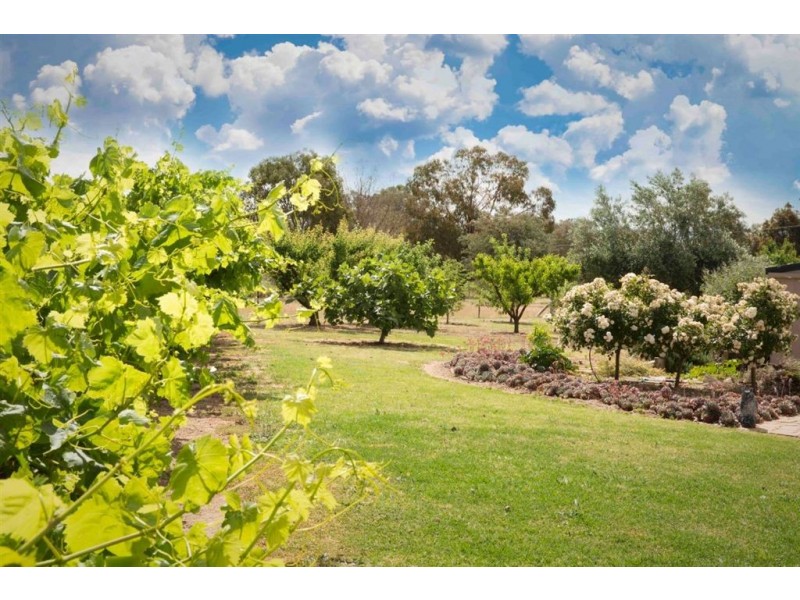 Jindera NSW 2642