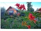 2 Edward Street, Culcairn NSW 2660
