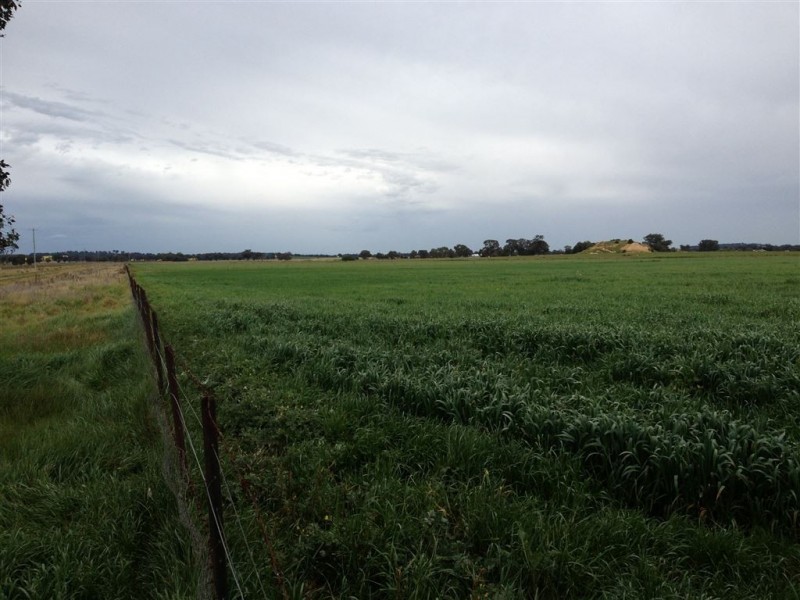 3756 Murray Valley Highway, Rutherglen VIC 3685