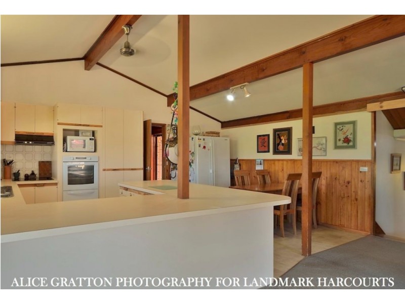 503 Murray crescent, East Albury NSW 2640