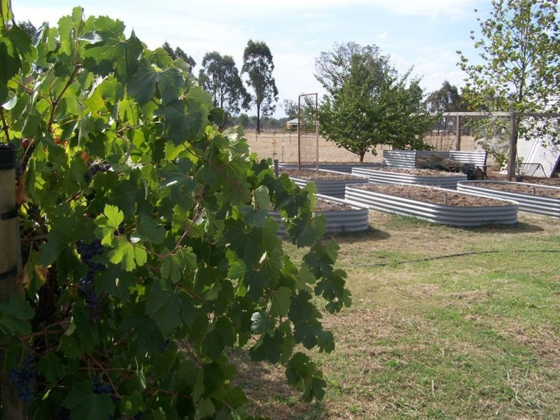 287 Soldiers Road, Barnawartha VIC 3688