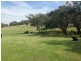 . Sanderson Road, Springhurst VIC 3682
