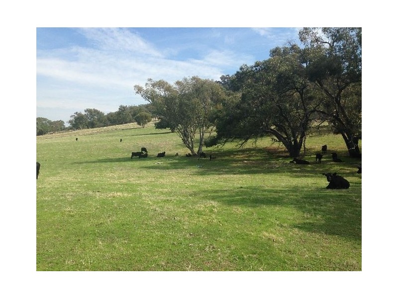 . Sanderson Road, Springhurst VIC 3682