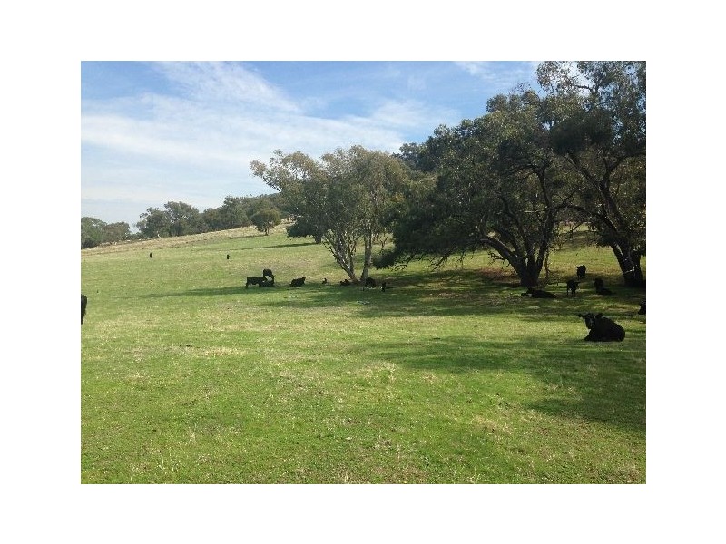 . Sanderson Road, Springhurst VIC 3682