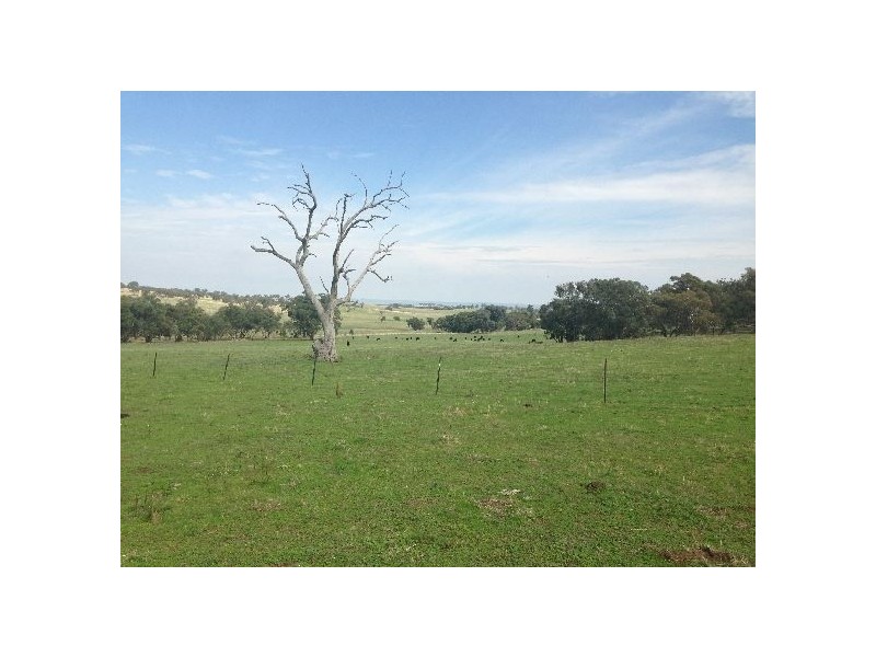 . Sanderson Road, Springhurst VIC 3682