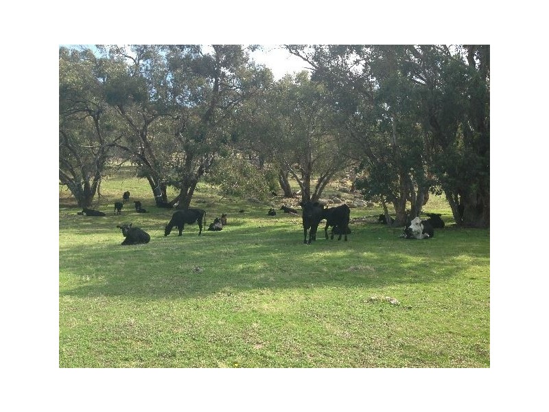 . Sanderson Road, Springhurst VIC 3682