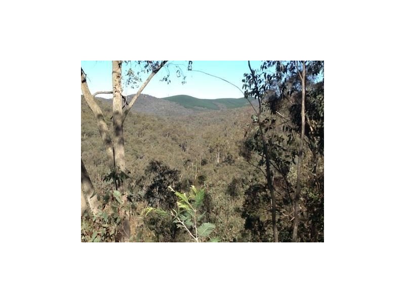 Lot 16a Chicks Track, Burrowye VIC 3709
