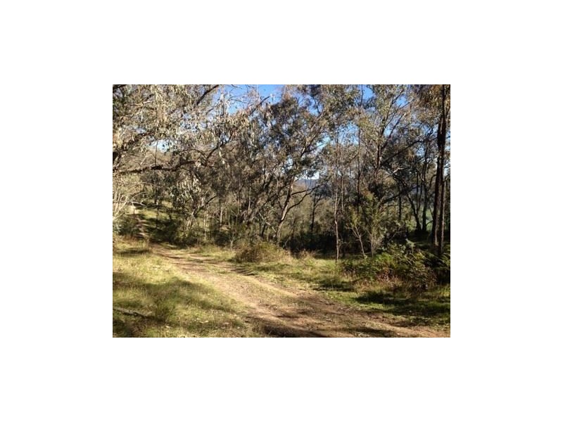 Lot 16a Chicks Track, Burrowye VIC 3709