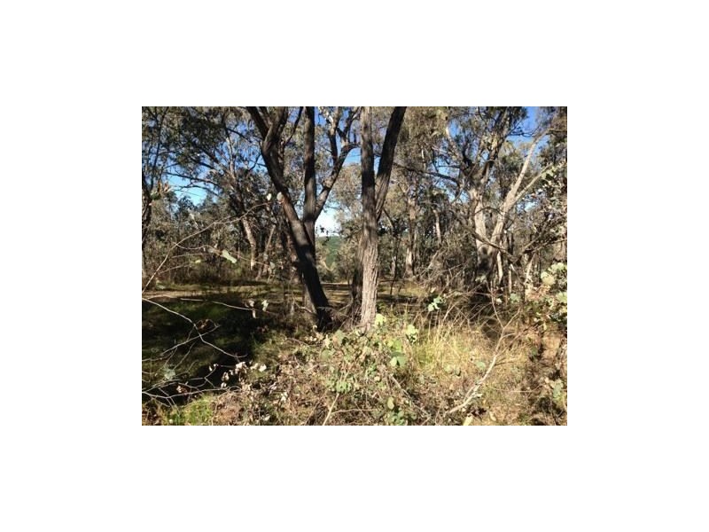 Lot 16a Chicks Track, Burrowye VIC 3709