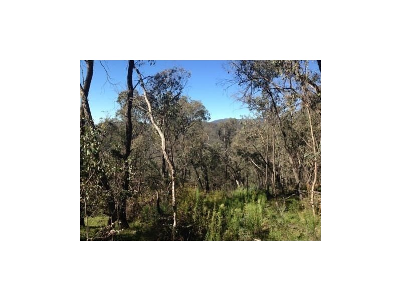 Lot 16a Chicks Track, Burrowye VIC 3709