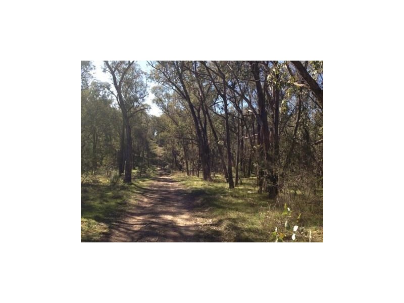 Lot 16a Chicks Track, Burrowye VIC 3709