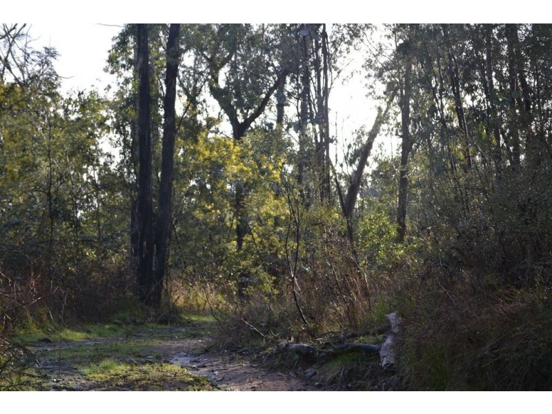 Lot 2 Dartmouth Road, Dartmouth VIC 3701