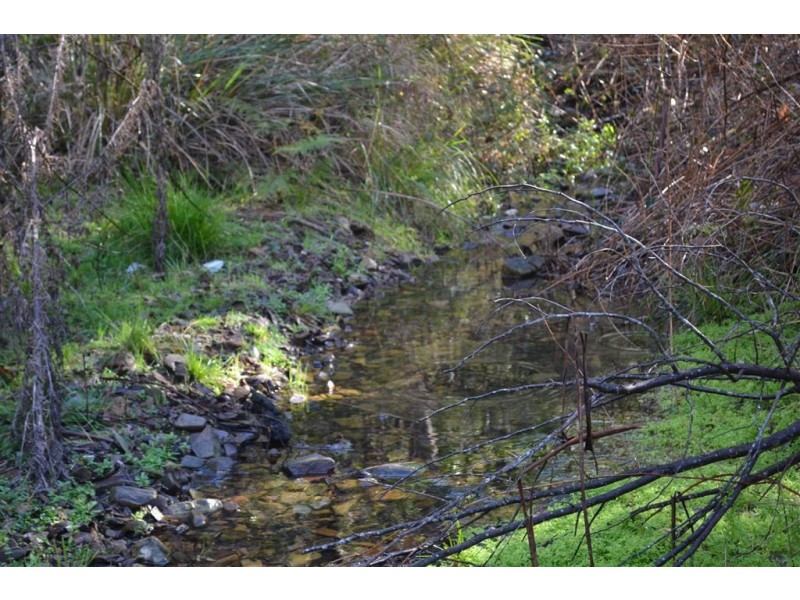 Lot 2 Dartmouth Road, Dartmouth VIC 3701