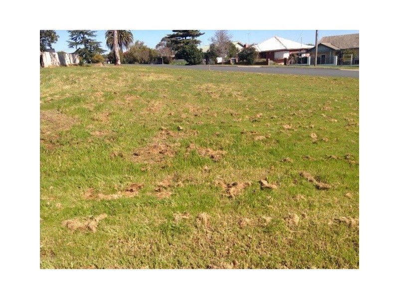 380 Solomon Street, Albury NSW 2640