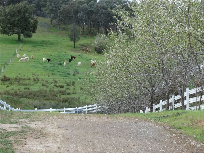 Lot63 Centaur Road, Lavington NSW 2641