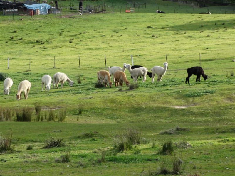 Lot63 Centaur Road, Lavington NSW 2641