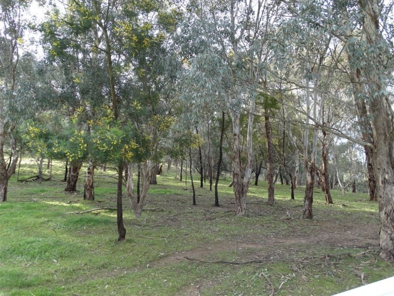 Lot63 Centaur Road, Lavington NSW 2641