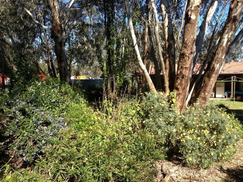 9 Angle Street, Chiltern VIC 3683