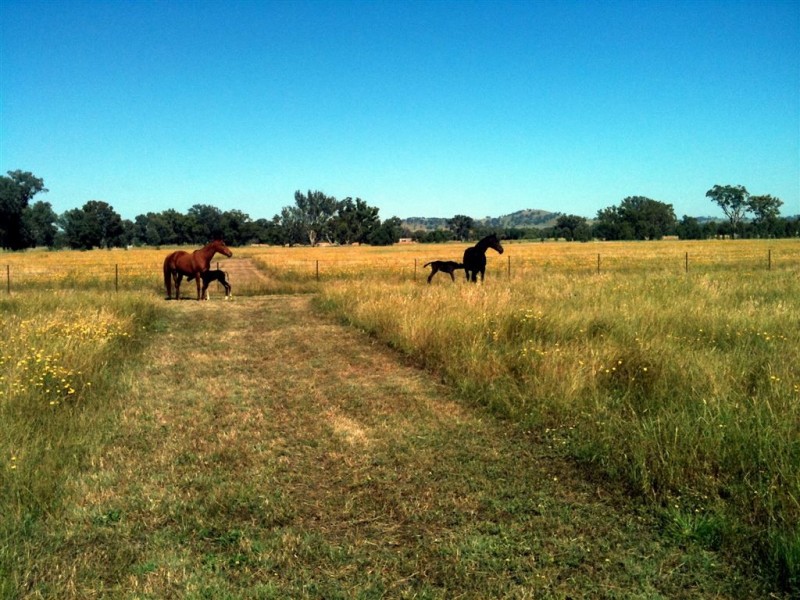 Lot 124 Hawthorn road, Jindera NSW 2642