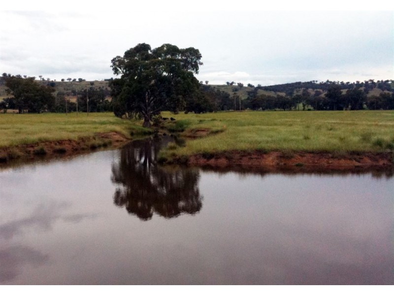 Lot 124 Hawthorn road, Jindera NSW 2642