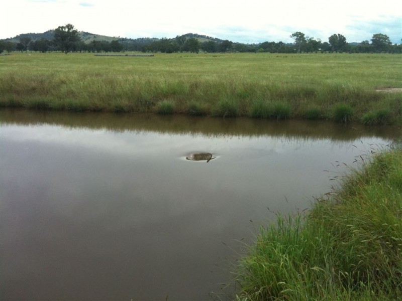 Lot 124 Hawthorn road, Jindera NSW 2642