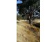 Lot 3 of/Lot 124 Hawthorn Road, Jindera NSW 2642