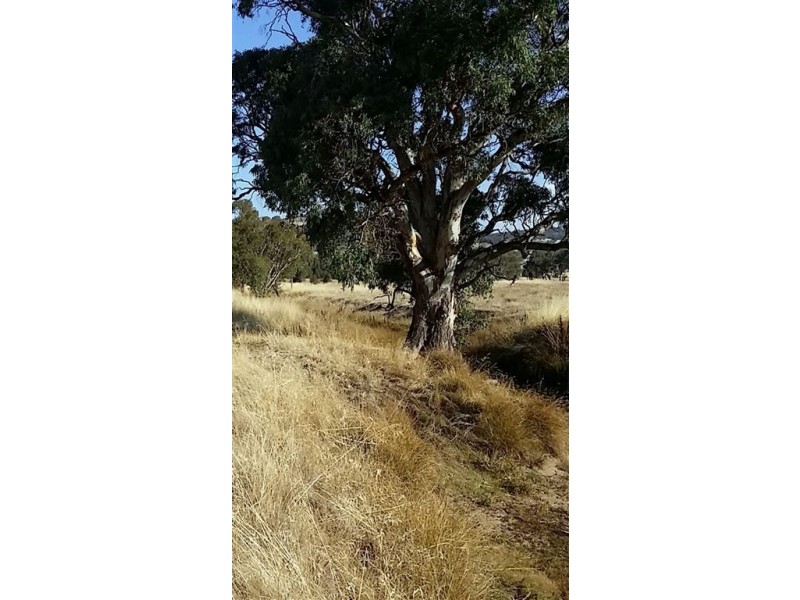 Lot 3 of/Lot 124 Hawthorn Road, Jindera NSW 2642