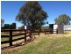 216 Settlers Road, Chiltern VIC 3683