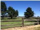 216 Settlers Road, Chiltern VIC 3683