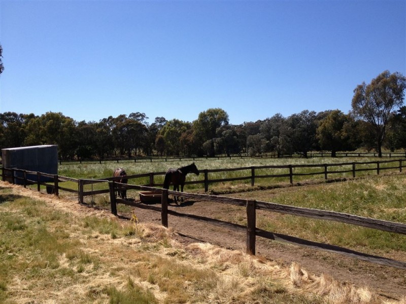 216 Settlers Road, Chiltern VIC 3683