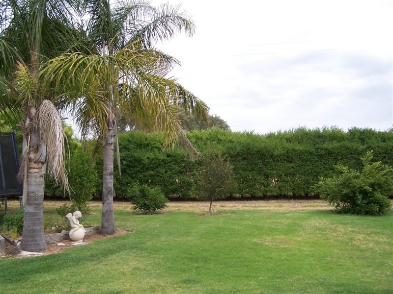 66 Margaret Street, Gerogery NSW 2642