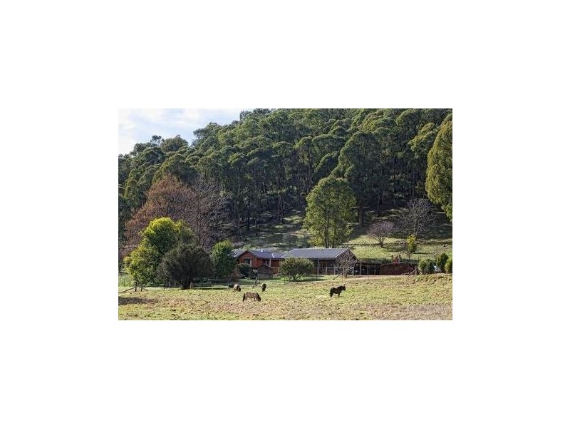 1191 Buckland Valley road, Buckland VIC 3740