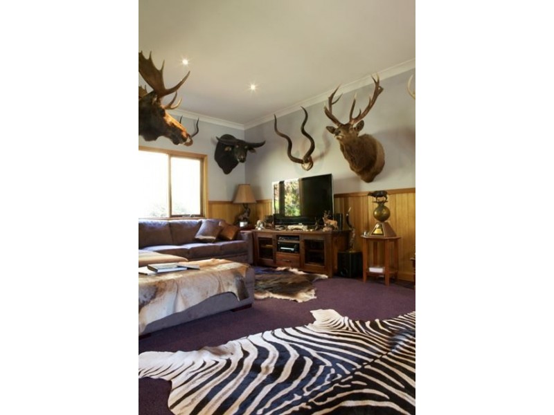 1191 Buckland Valley road, Buckland VIC 3740