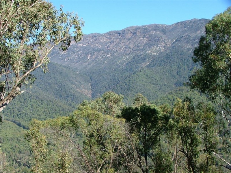 1191 Buckland Valley road, Buckland VIC 3740