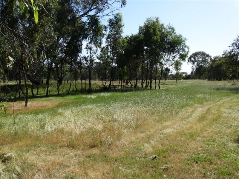 48 Bridle Lane, Table Top NSW 2640